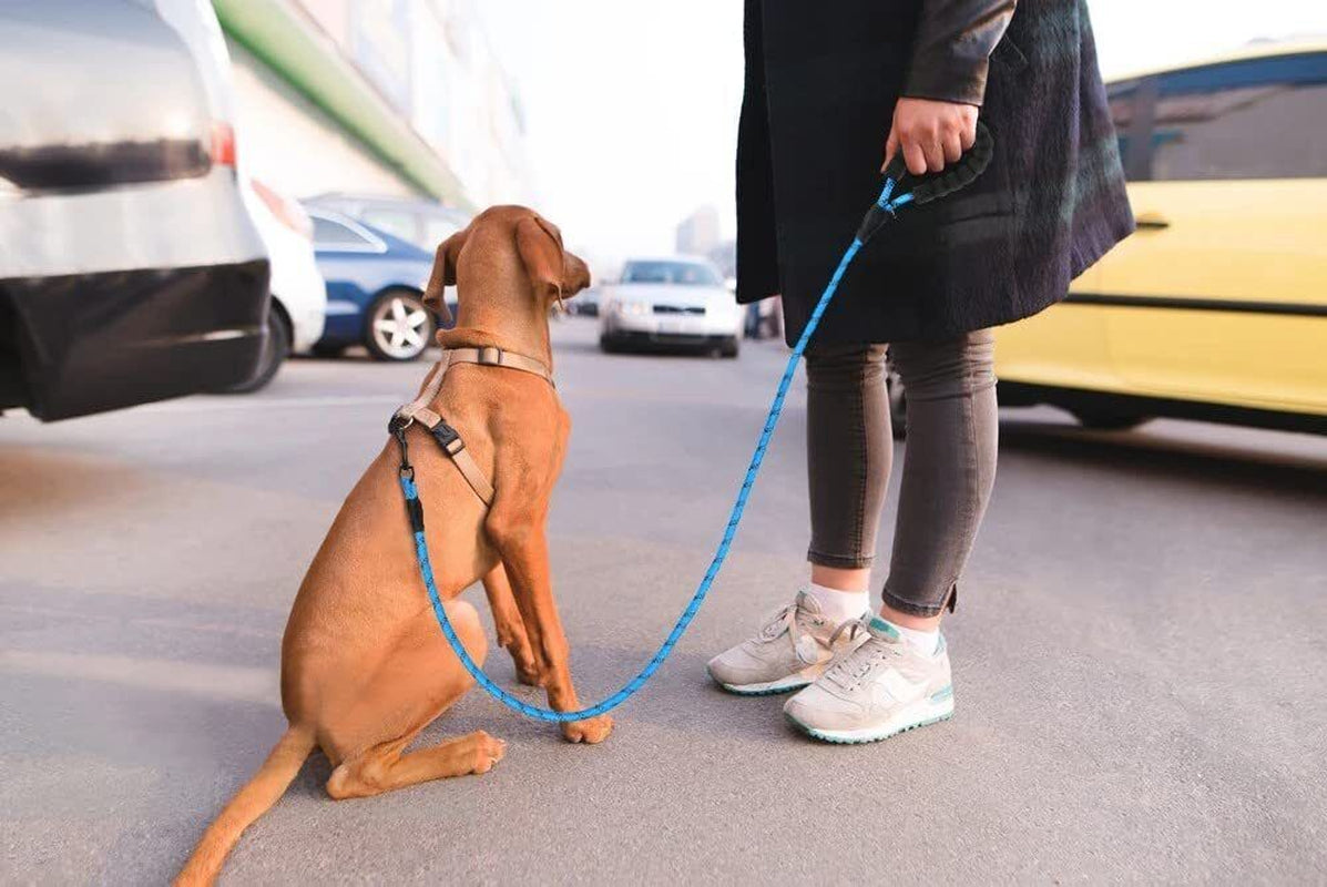 5FT Leash Braided Rope Pet Dog Leads Strong Reflective Soft for M/Large Dog Walk