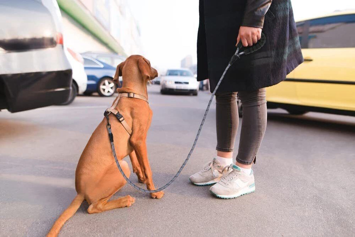 5FT Leash Braided Rope Pet Dog Leads Strong Reflective Soft for M/Large Dog Walk